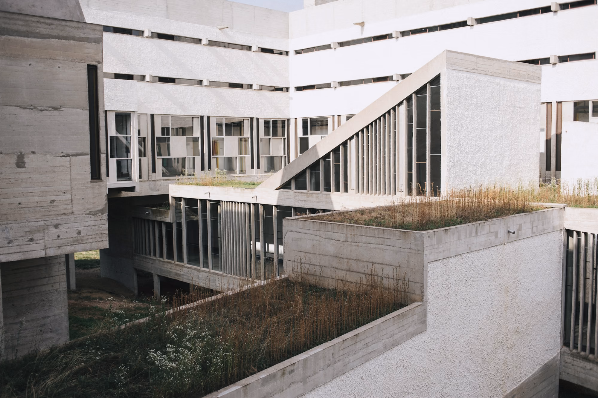 Edificio institucional de hormigón claro con terrazas escalonadas y cubiertas vegetales